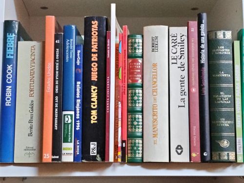 OFERTA - MAGNIFICO LOTE 20 LIBROS DIFERENTES