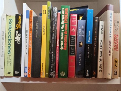 OFERTA - MAGNIFICO LOTE 20 LIBROS DIFERENTES