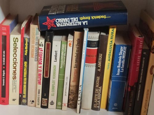 OFERTA - MAGNIFICO LOTE 20 LIBROS DIFERENTES