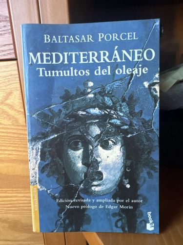 Mediterráneo, tumultos del oleaje