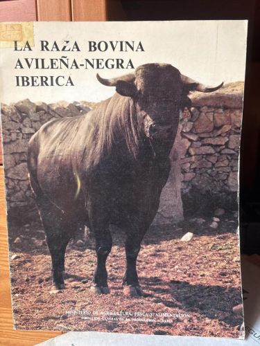 La Raza Avileña-Negra Ibérica