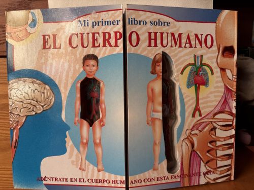 MI PRIMER LIBRO SOBRE CUERPO HUMANO
